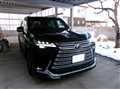 2023 Lexus LX