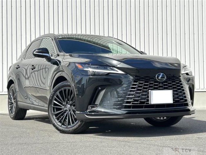 2024 Lexus RX
