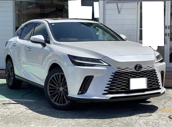 2024 Lexus RX