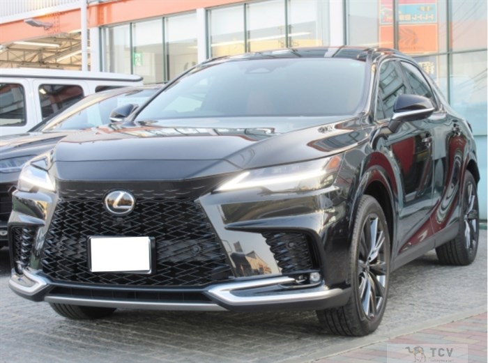 2024 Lexus RX
