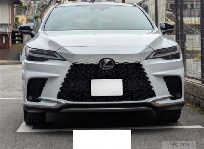 2024 Lexus RX