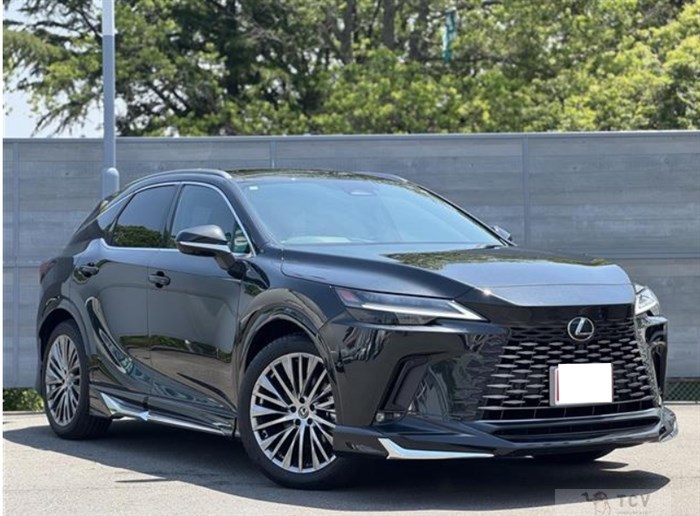 2023 Lexus RX