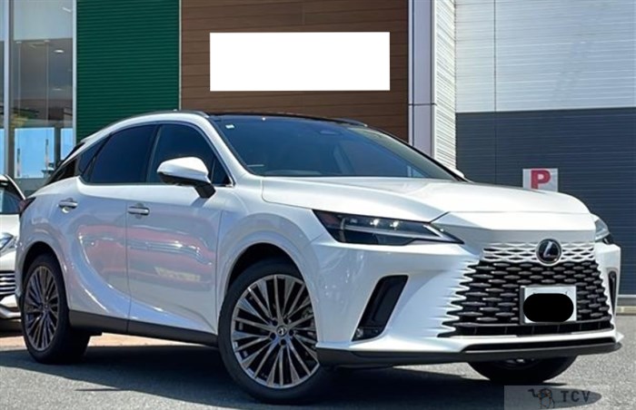 2024 Lexus RX