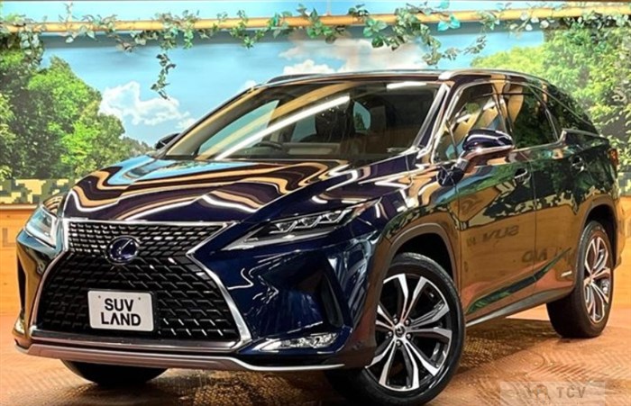 2020 Lexus RX