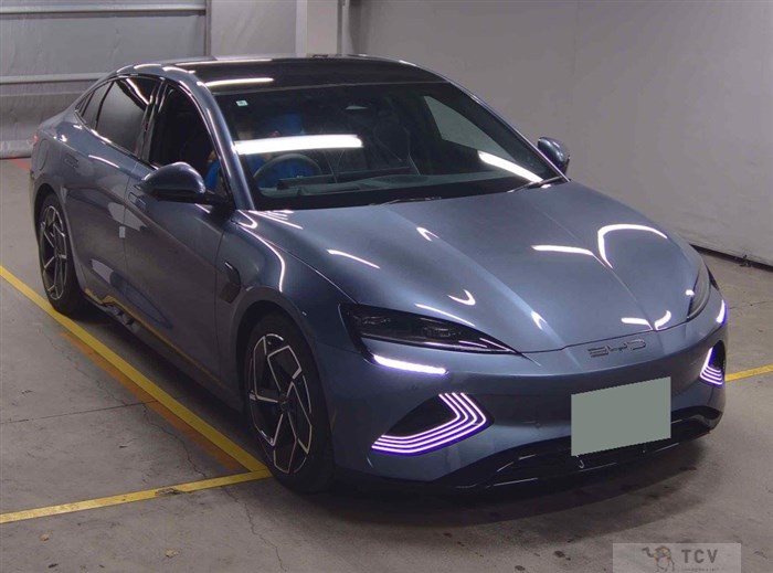 2024 Byd Automobile Others