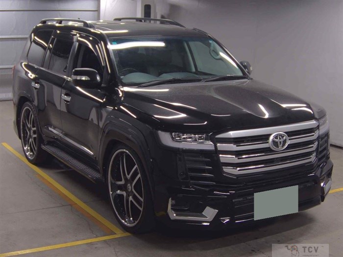 2010 Toyota Land Cruiser