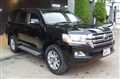 2019 Toyota Land Cruiser
