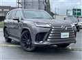 2025 Lexus LX