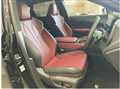 2026 Lexus RX