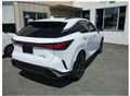 2026 Lexus RX