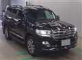 2019 Toyota Land Cruiser