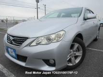 2010 Toyota Mark X