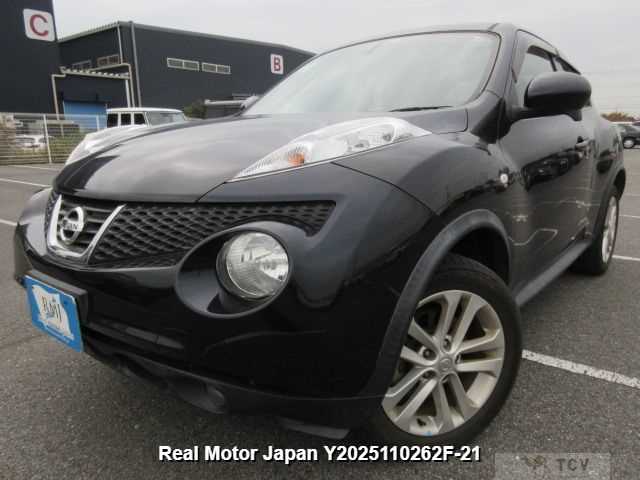 2010 Nissan Juke