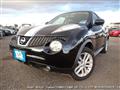 2013 Nissan Juke
