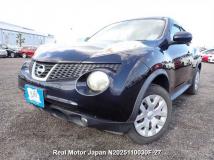 2013 Nissan Juke