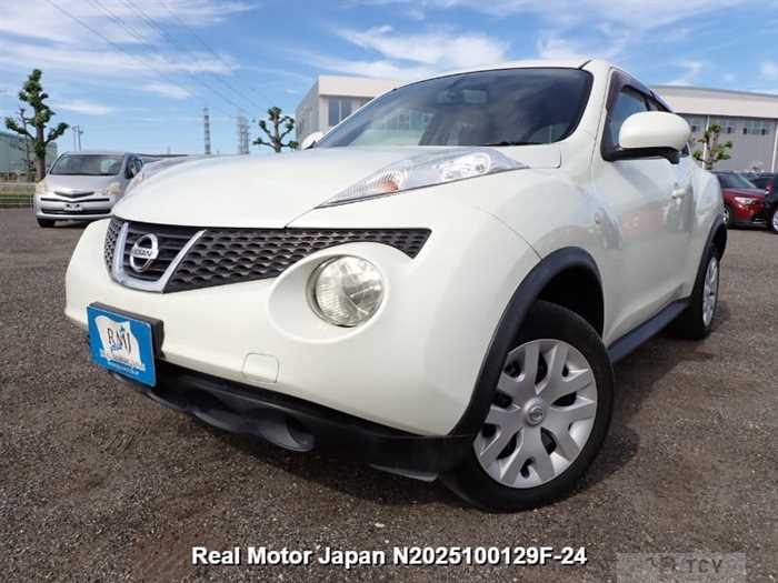 2010 Nissan Juke