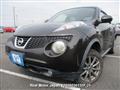 2013 Nissan Juke
