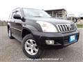 2007 Toyota Land Cruiser Prado