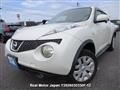 2010 Nissan Juke