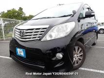 2010 Toyota Alphard