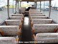 1999 Toyota Coaster