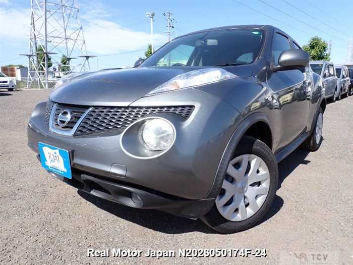 2011 Nissan Juke