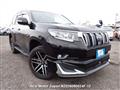 2019 Toyota Land Cruiser Prado