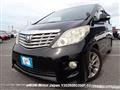 2010 Toyota Alphard