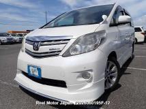2009 Toyota Alphard