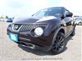 2013 Nissan Juke