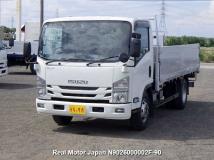 2019 Isuzu Elf Truck