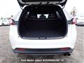 2019 Toyota Harrier