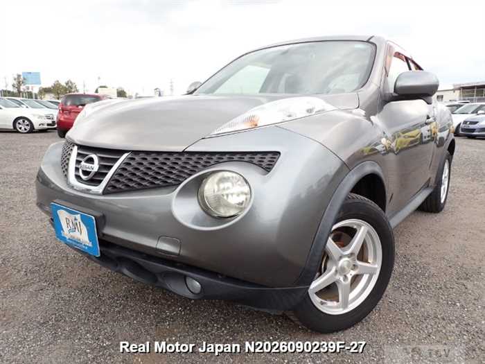 2011 Nissan Juke