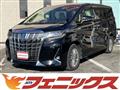 2019 Toyota Alphard Hybrid