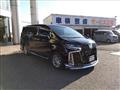 2018 Toyota Alphard