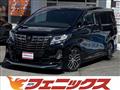 2016 Toyota Alphard