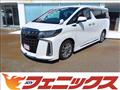 2020 Toyota Alphard