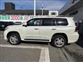 2010 Toyota Land Cruiser