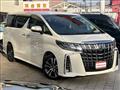 2019 Toyota Alphard