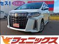2022 Toyota Alphard
