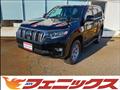 2019 Toyota Land Cruiser Prado