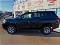 2019 Toyota Land Cruiser Prado