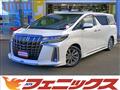 2020 Toyota Alphard
