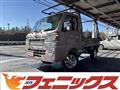 2019 Toyota PIXIS TRUCK