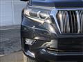 2019 Toyota Land Cruiser Prado