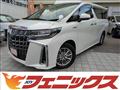 2019 Toyota Alphard