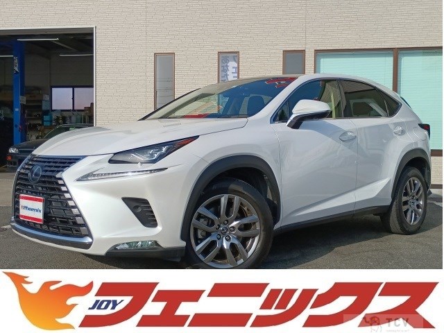 2018 Lexus NX