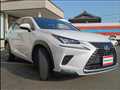 2018 Lexus NX