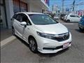 2020 Honda Shuttle