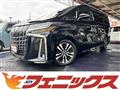 2019 Toyota Alphard